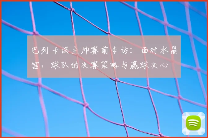 巴列卡诺主帅赛前专访:面对水晶宫,球队的决赛策略与赢球决心